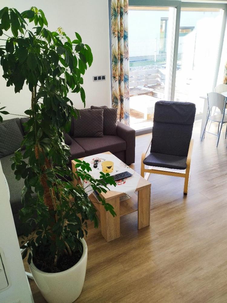Apartman Dasa Frymburk Exteriér fotografie