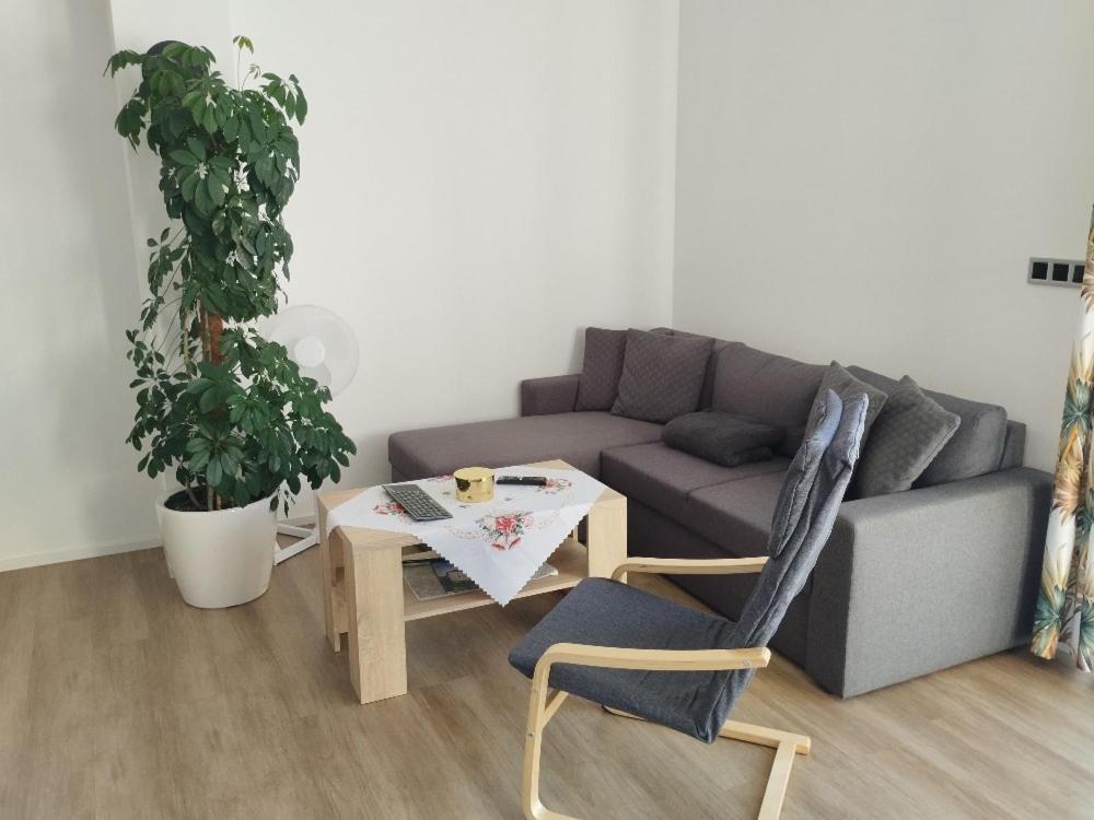Apartman Dasa Frymburk Exteriér fotografie